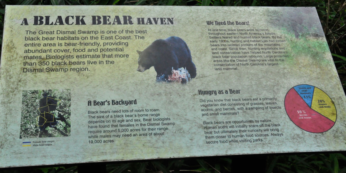 sign about Black Bears